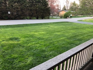 Lawn example