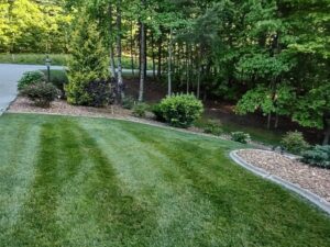 backyard lawncare